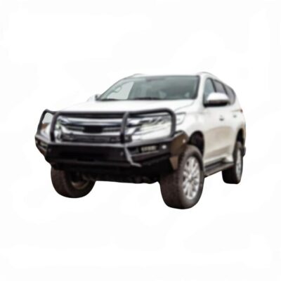 RAXAR Bull Bar No Loop with Fog Light & Tow Points for GWM Tank300 07/2023-On